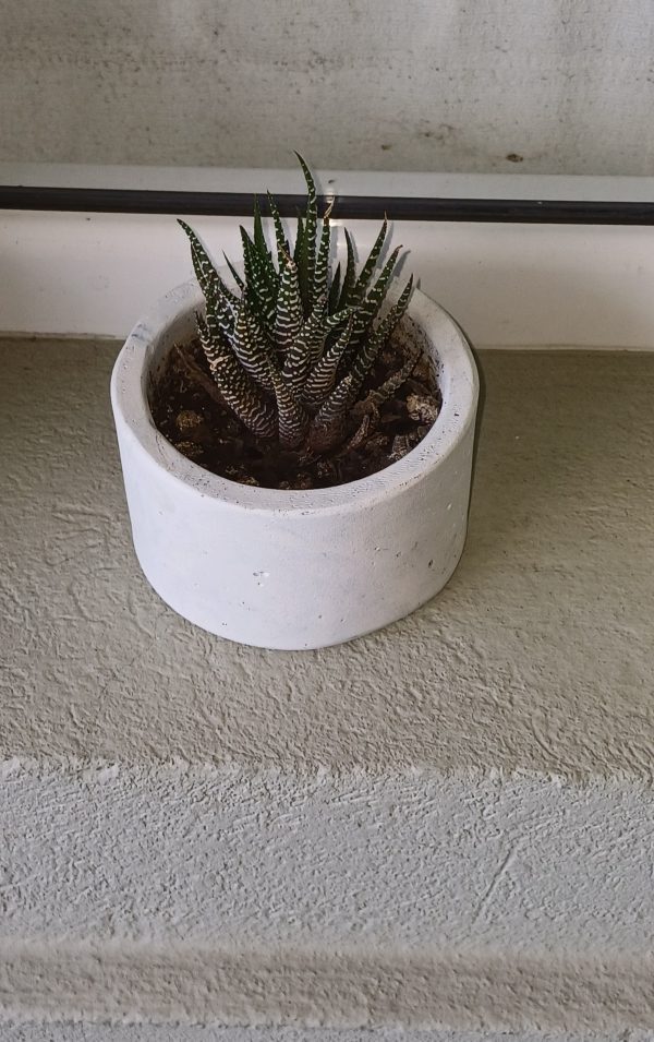 Maceta mediana- Modelo 6 - Imagen 2
