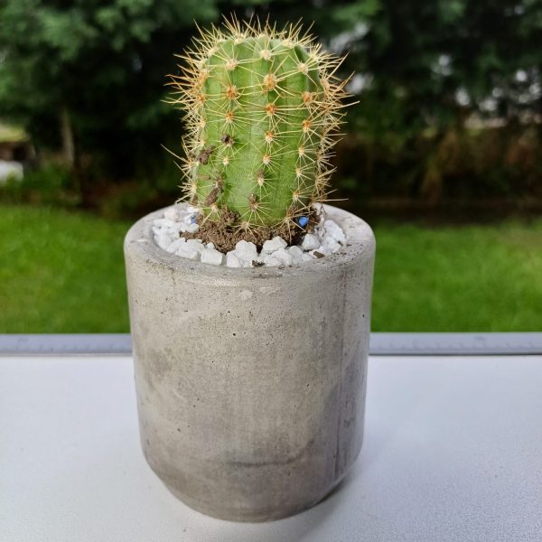 Maceta mediana- Modelo 9